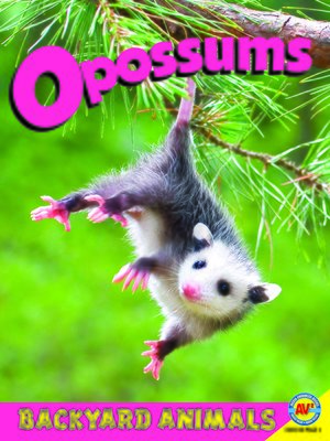 cover image of Opossums